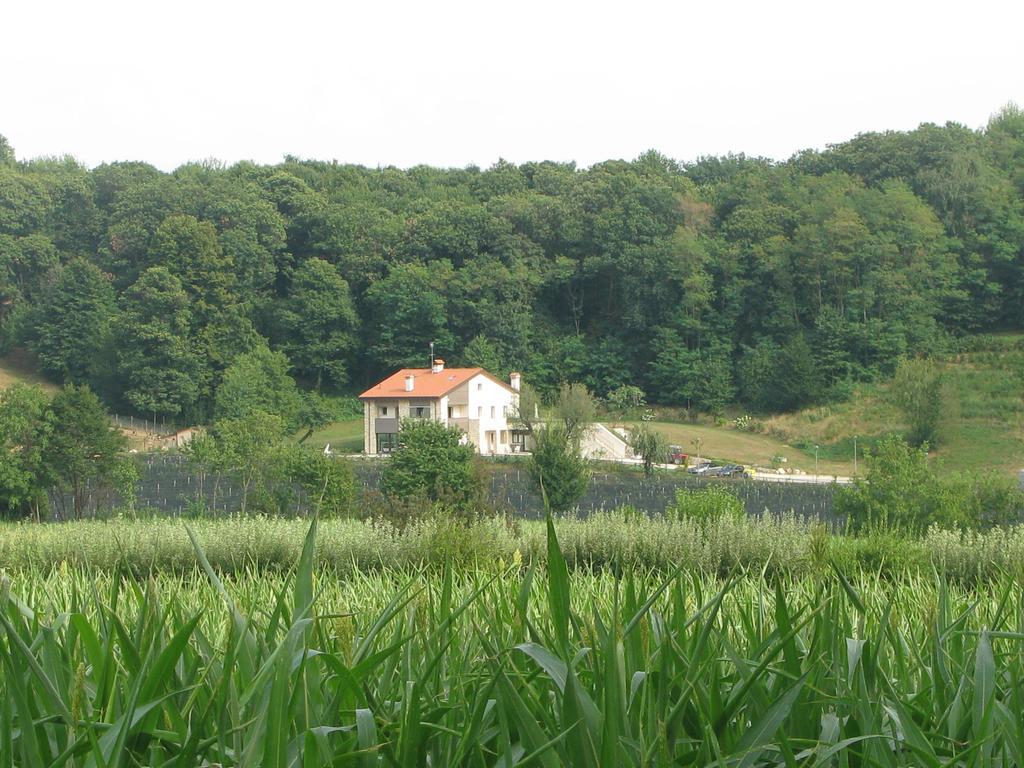 Agriturismo Casamela Paderno del Grappa エクステリア 写真