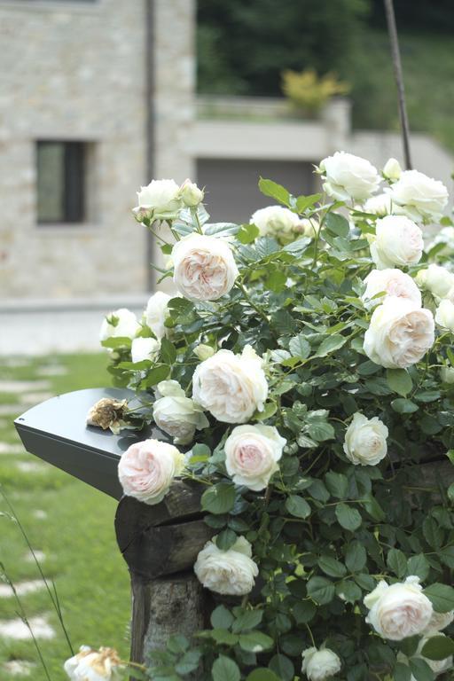 Agriturismo Casamela Paderno del Grappa エクステリア 写真