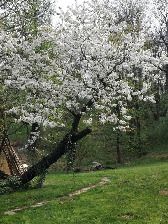 Agriturismo Casamela Paderno del Grappa エクステリア 写真